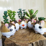 Mini Cat Ceramic Flower Pot