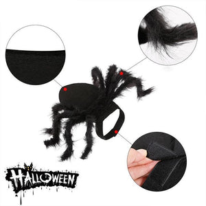 CreepyParty™ Dog Halloween Costumes