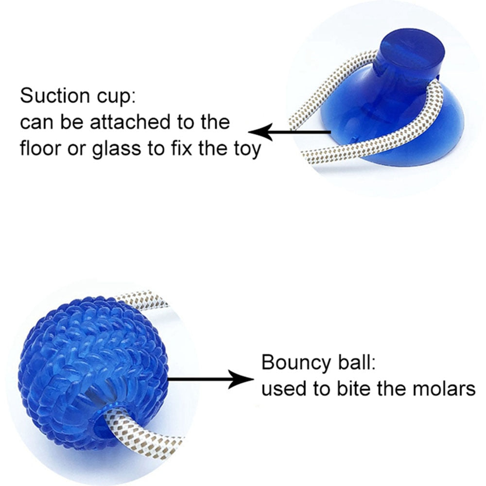 Dog Interactive Suction Cup Push TPR Ball