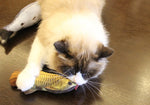 Catnip™ Fish Cat Toy