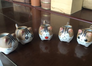 Mini Cat Ceramic Flower Pot