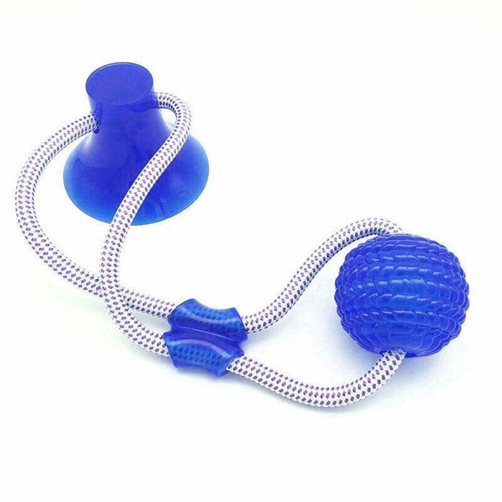 Dog Interactive Suction Cup Push TPR Ball