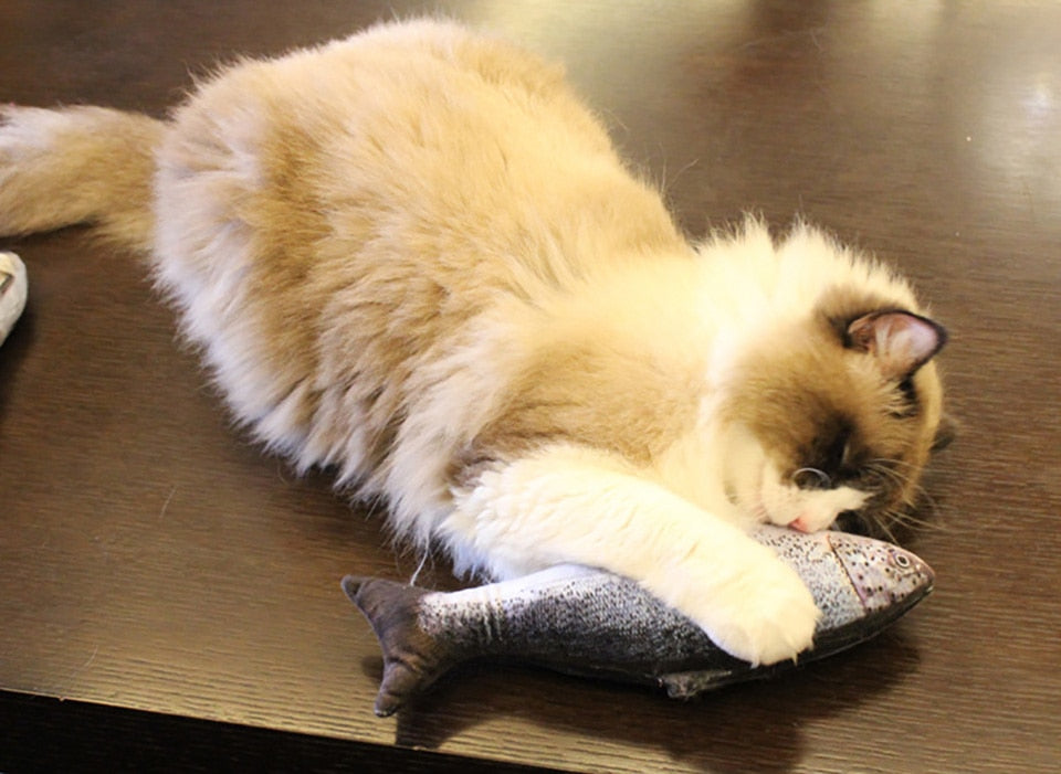 Catnip™ Fish Cat Toy