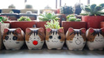 Mini Cat Ceramic Flower Pot