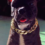 Fashion Dog Chain Collar