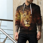 Calm Lion Unisex Pullover Hoodie