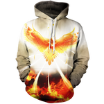 Flight Of Radiance Unisex Pullover Hoodie M