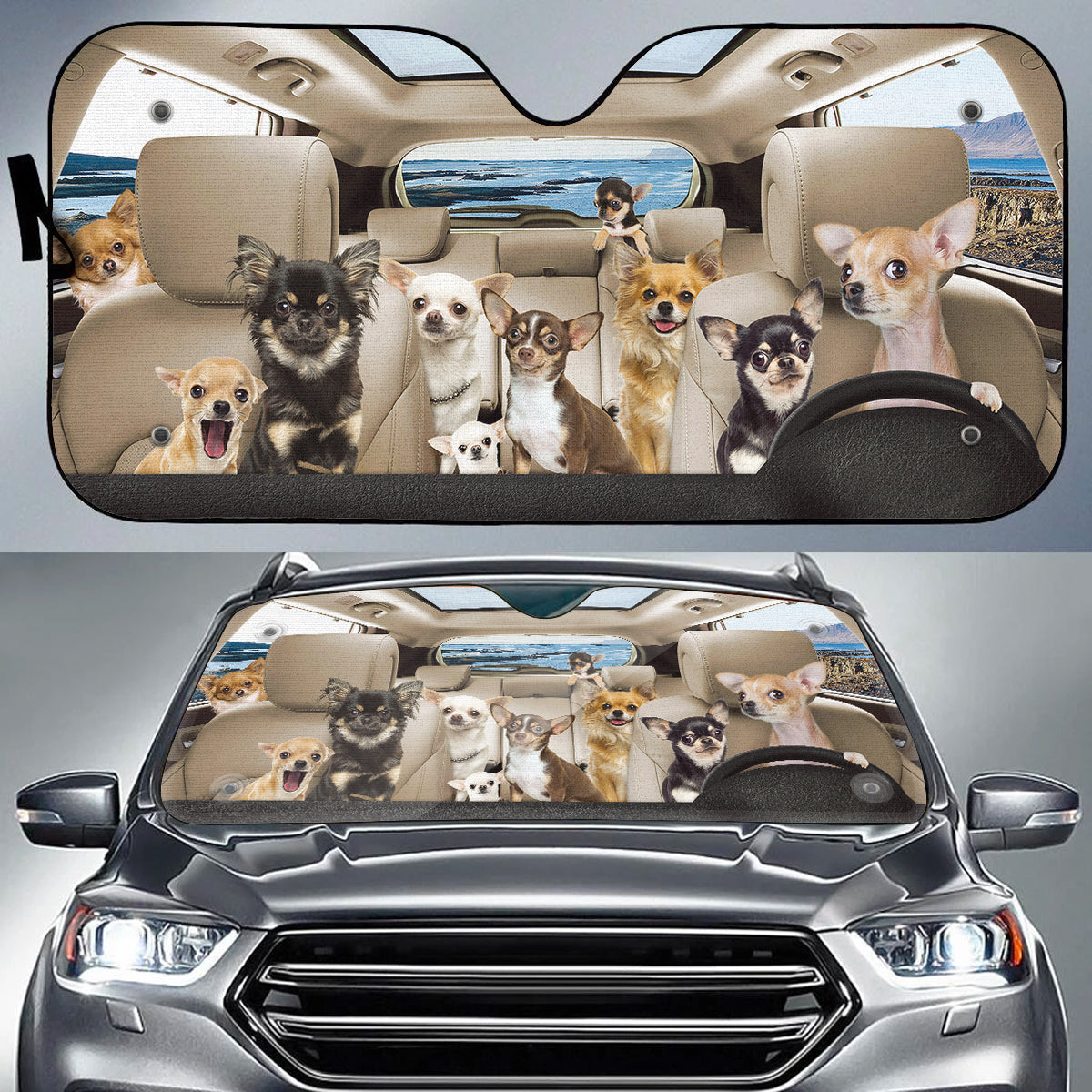 Chihuahua Gang Auto Sun Shade