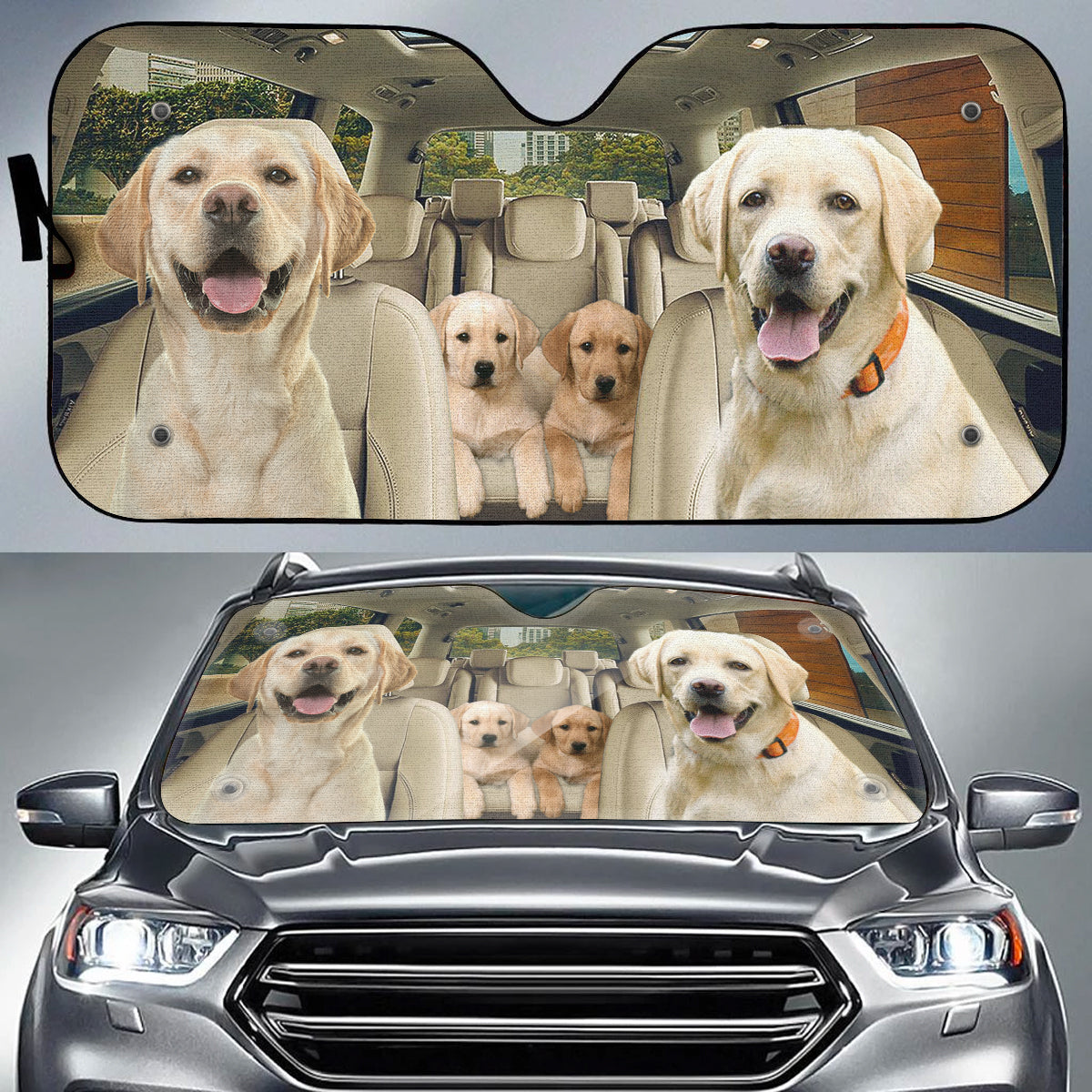 Family Road Trip Auto Sun Shade