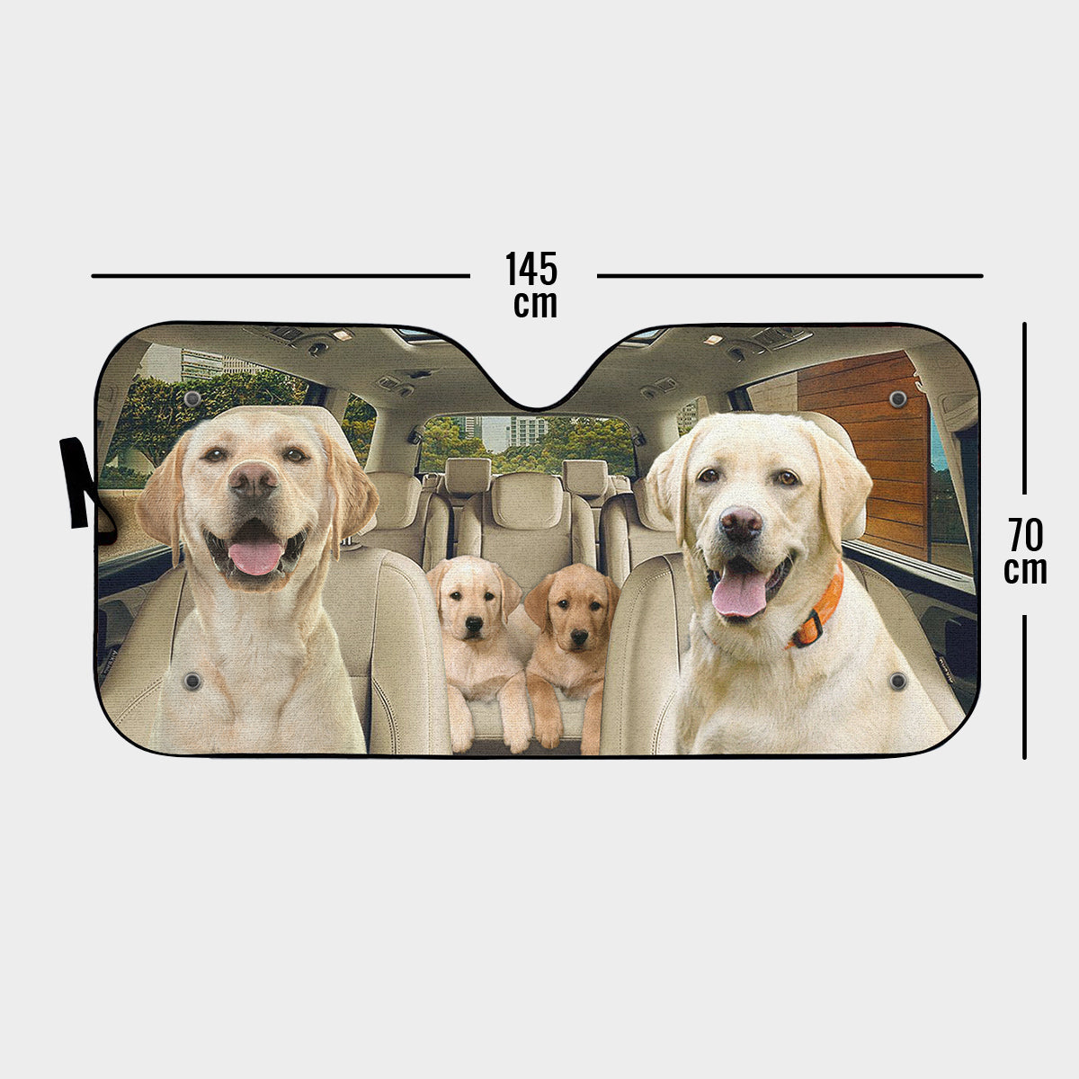 Family Road Trip Auto Sun Shade