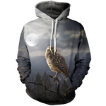 Wisdom Begins In Wonder Unisex Pullover Hoodie M