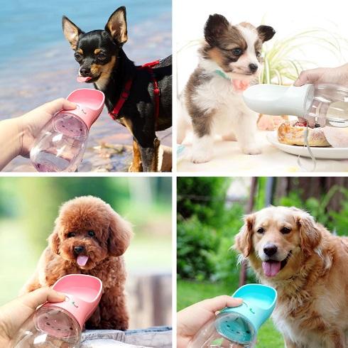 SmartPets™ Doggy Water Bottle