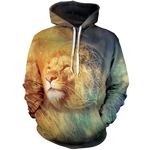 The King Returns Unisex Pullover Hoodie