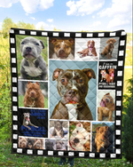 Pitbull Dog Quilt Blanket For Who Love Pitbull