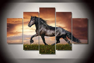 Black Beauty 2 5 Piece Canvas Wall